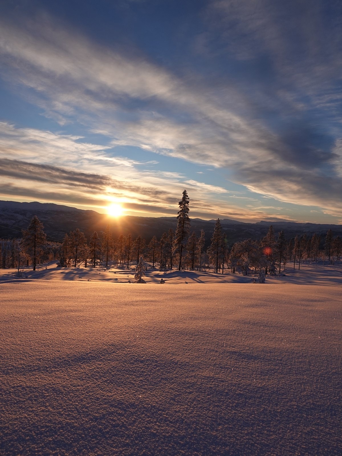 Turufjell Galleribilde