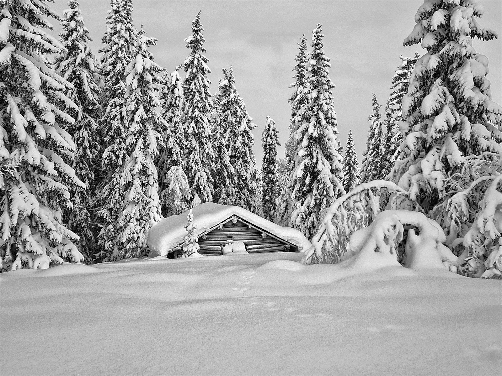 Eventyrløypa Galleribilde