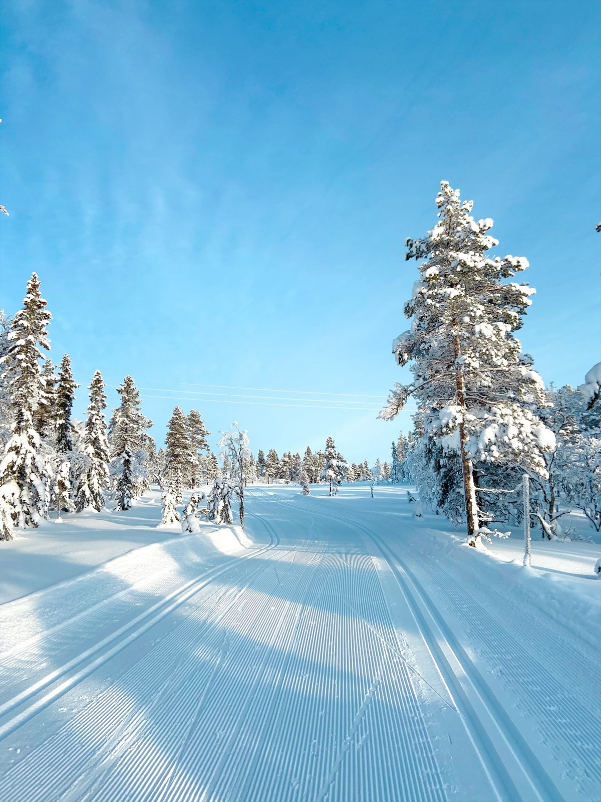 Eventyrløypa Galleribilde