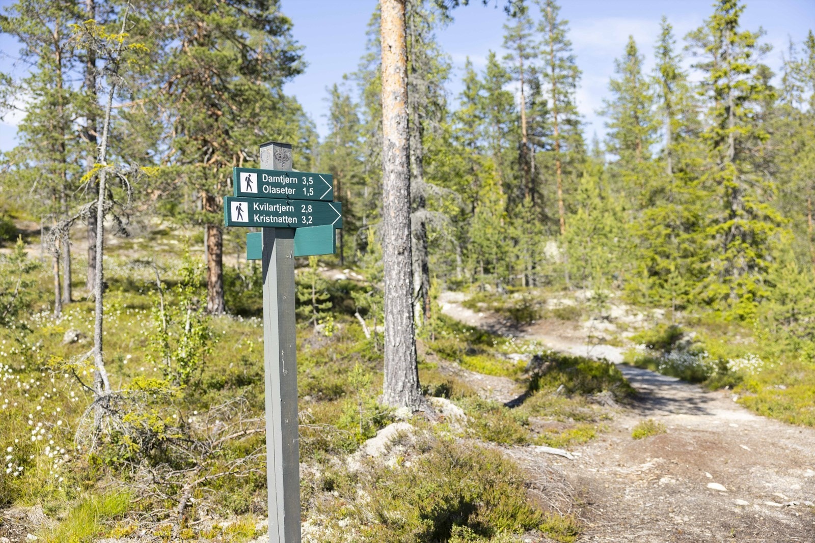 IMG_6714.jpg Galleribilde