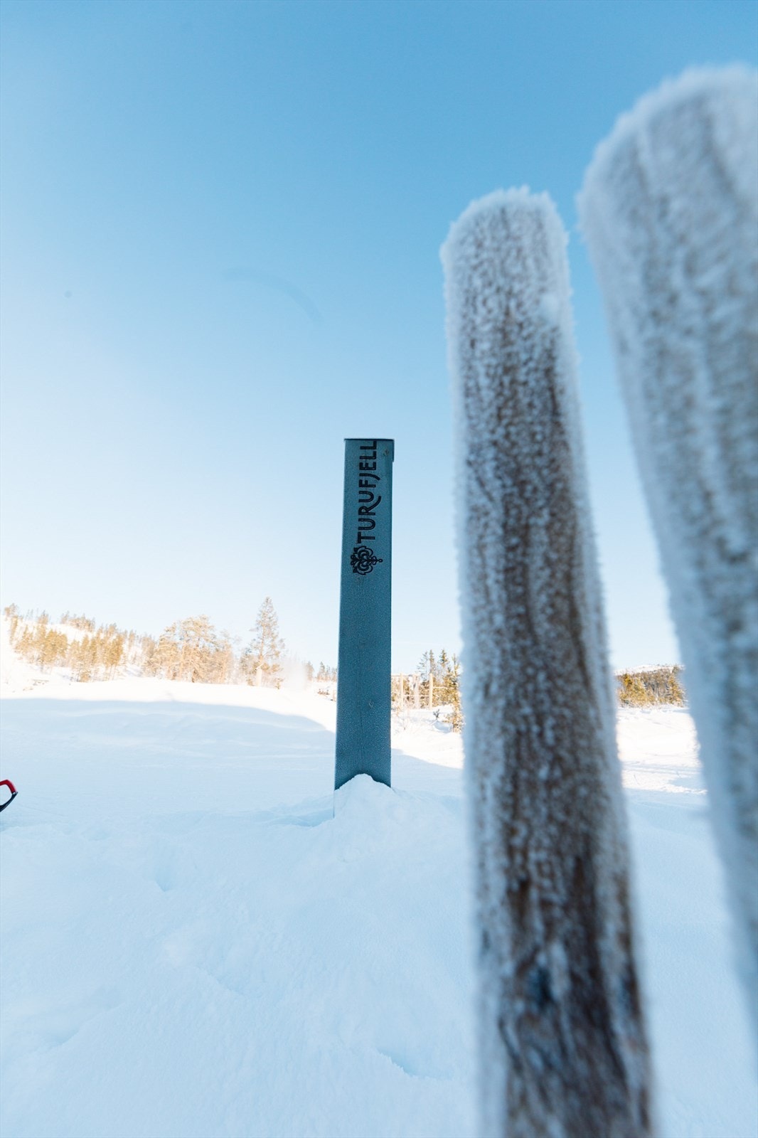 Turufjell Galleribilde