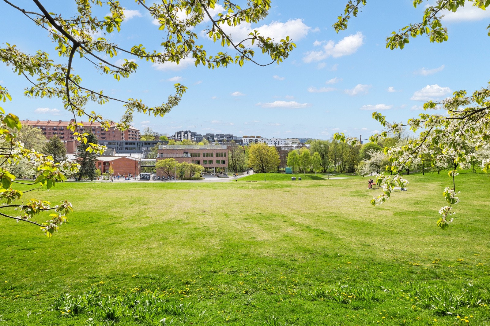 Samlet sett er Arendalsgata 5 på Sagene en svært attraktiv adresse for deg som ønsker å bo i et sjarmerende og urbant område, med kort vei til butikker, offentlig transport og grønne lunger. Galleribilde