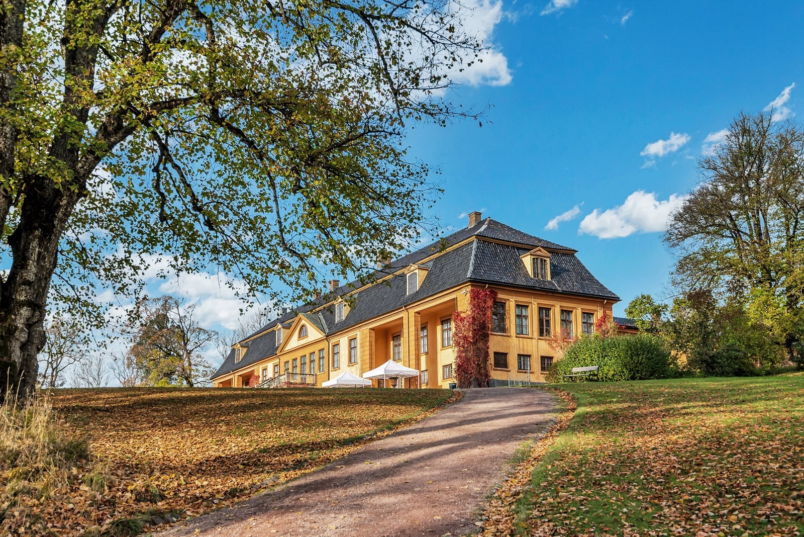 Kort vei til Bogstad gård med kafé og aktiviteter for store og små. Galleribilde