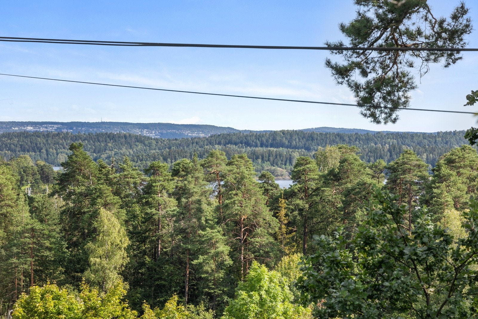 Utsikt fra boligen mot nærområdet. Galleribilde