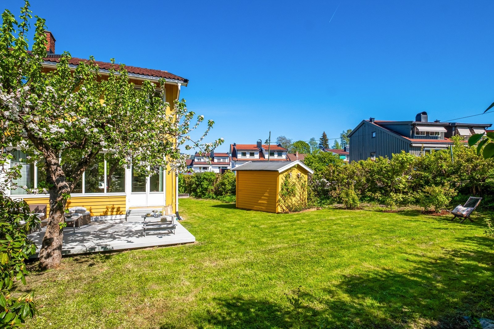 Her finner du et mangfold av blomster og bær som gjør sommeren til en fest. Galleribilde