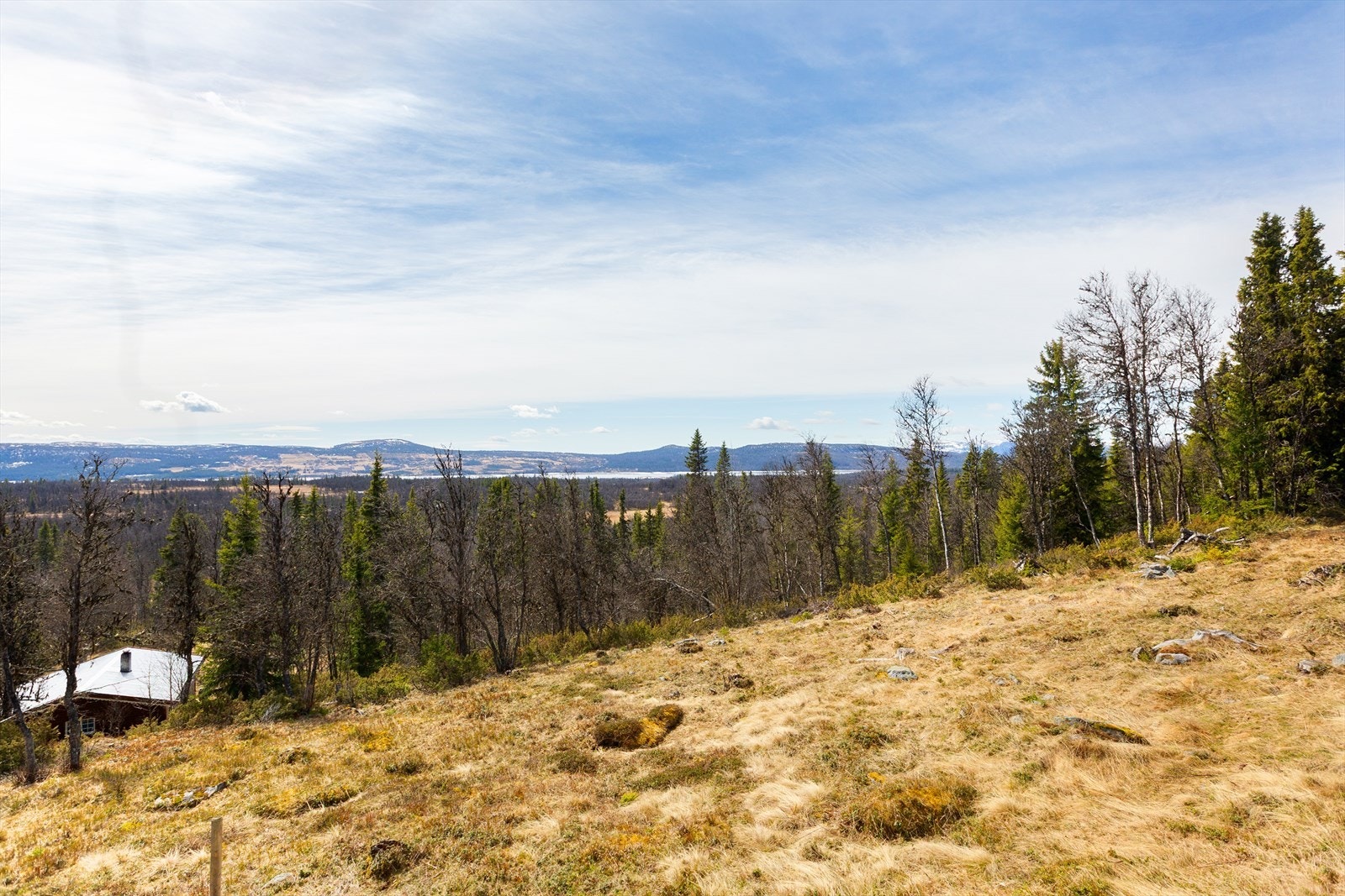 Eiendommen har gode solforhold og vid flott utsikt utover store fjellområder som bla. Skogshorn og Tisleifjorden. Galleribilde
