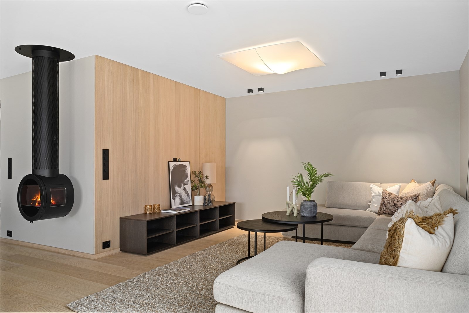 Sonen har flere belysningsmulighter. Flott taklampe i lekker utførelse og downlights for optimal tilpasning. Hele plater med eikefinér til TV-vegg. Vedovn sikrer godt inneklima på selv de kaldeste dager. Galleribilde