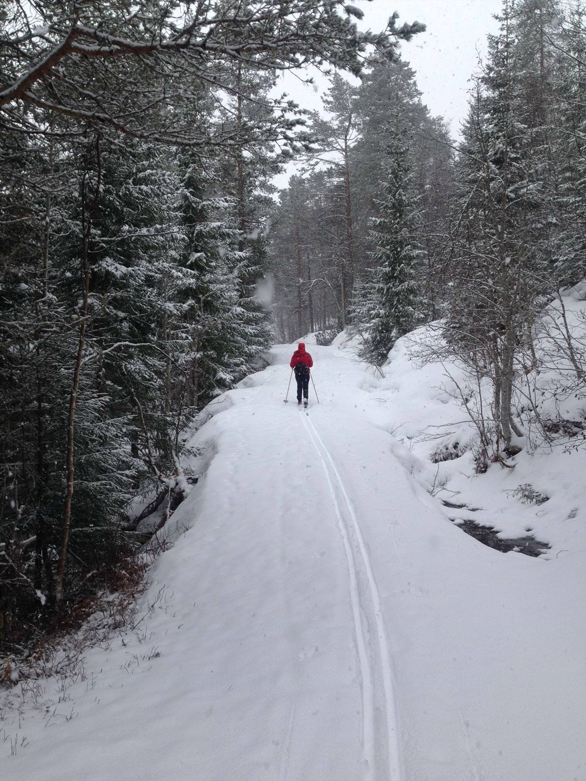 Selgers bilder av eiendommen Galleribilde