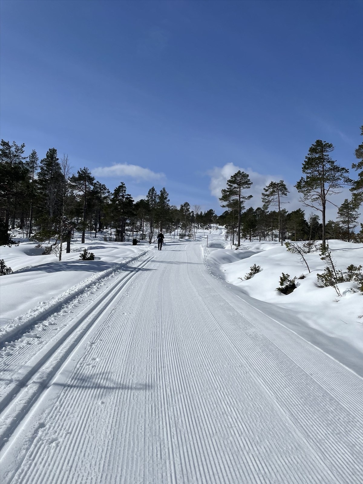 Selgers bilder av eiendommen Galleribilde