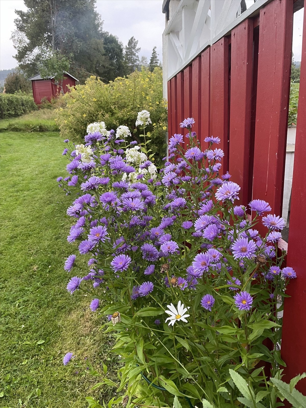 Selgers bilder av eiendommen Galleribilde