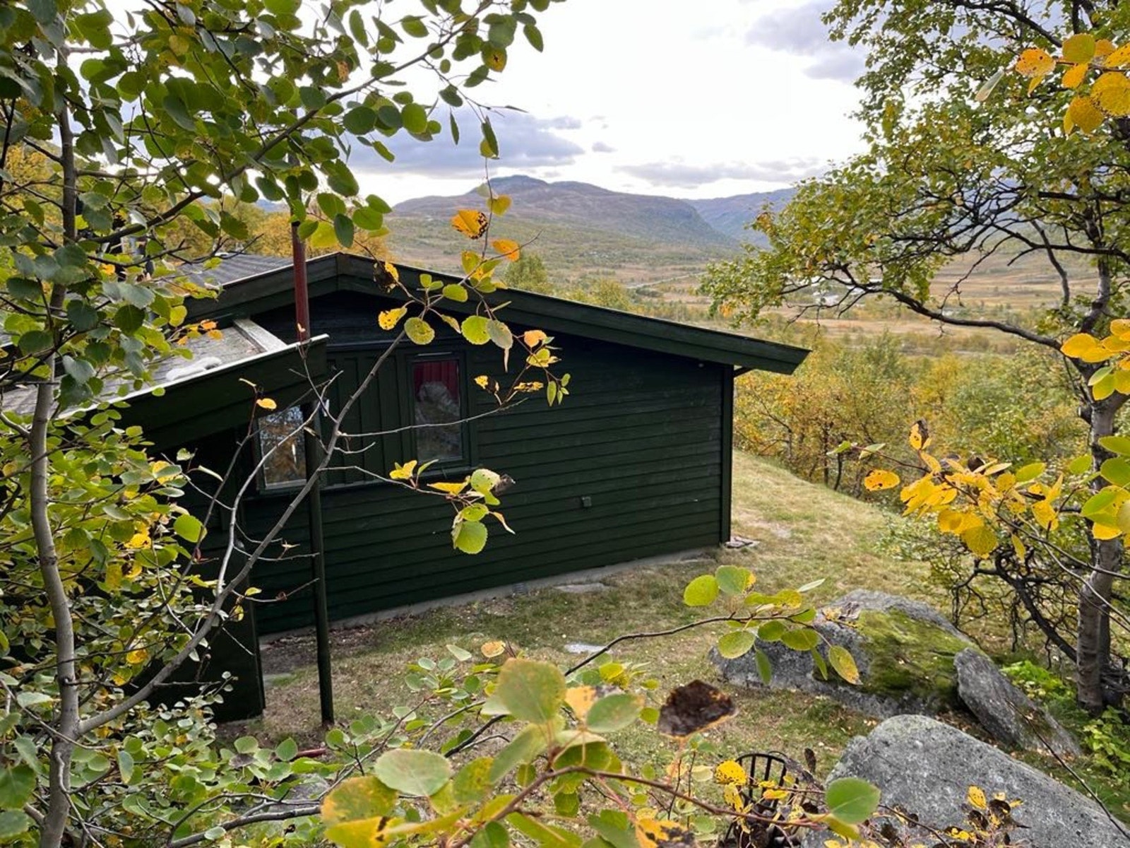 Hytten er malt grønn. Galleribilde
