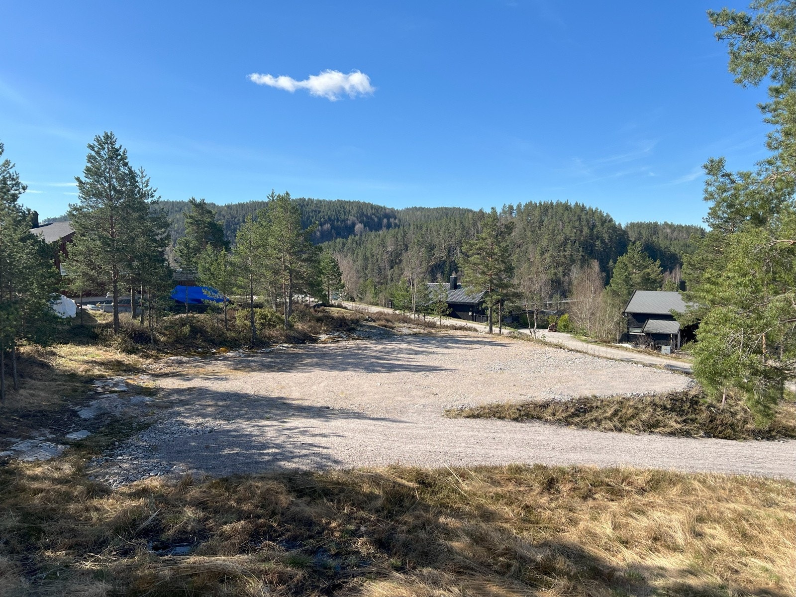 Her er meget solrikt ! Galleribilde