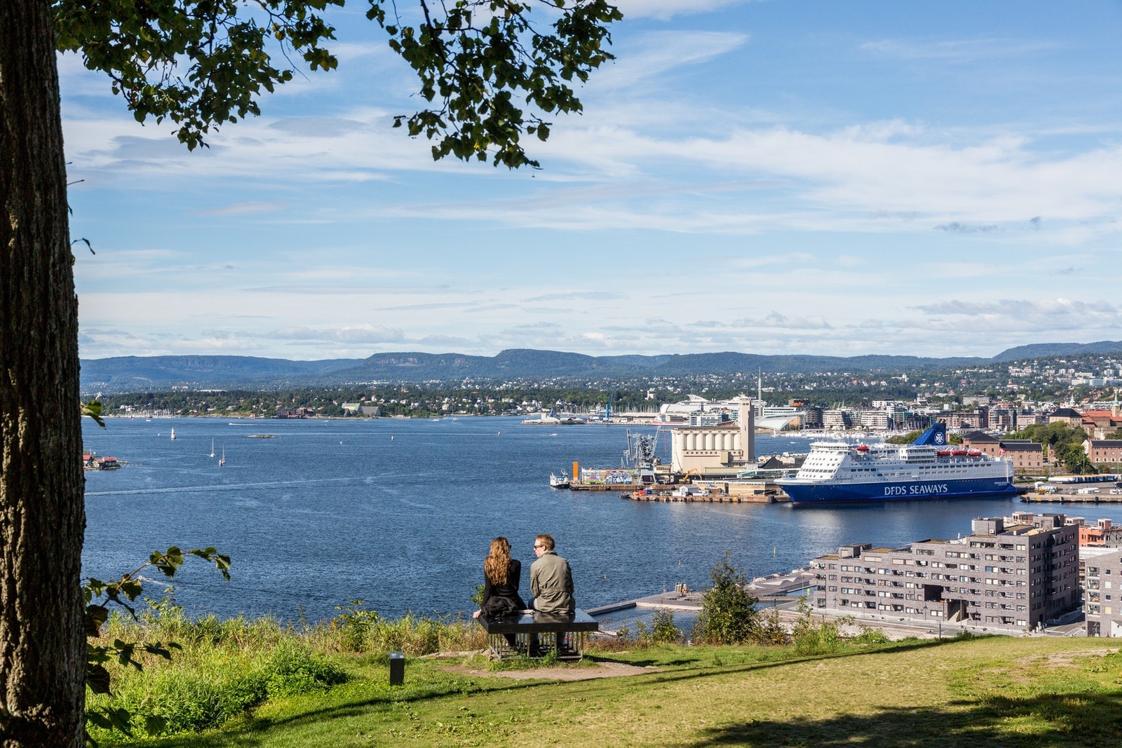 Nærområdet. Galleribilde