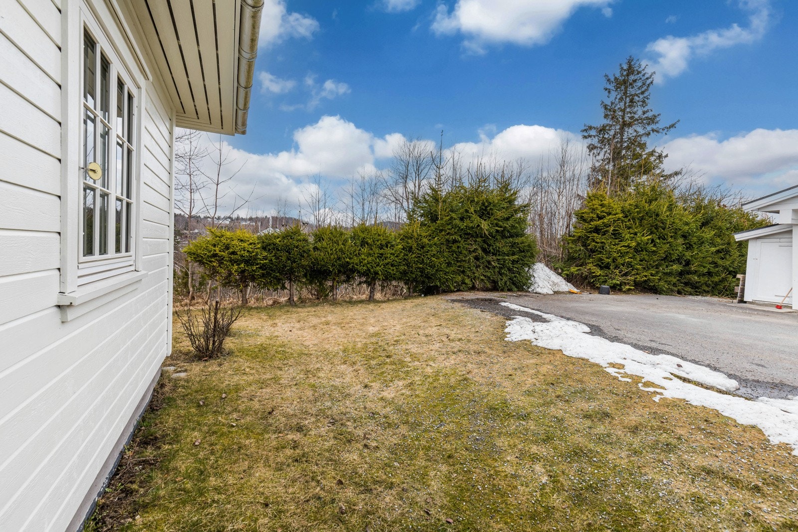 Skjermet hage. Galleribilde