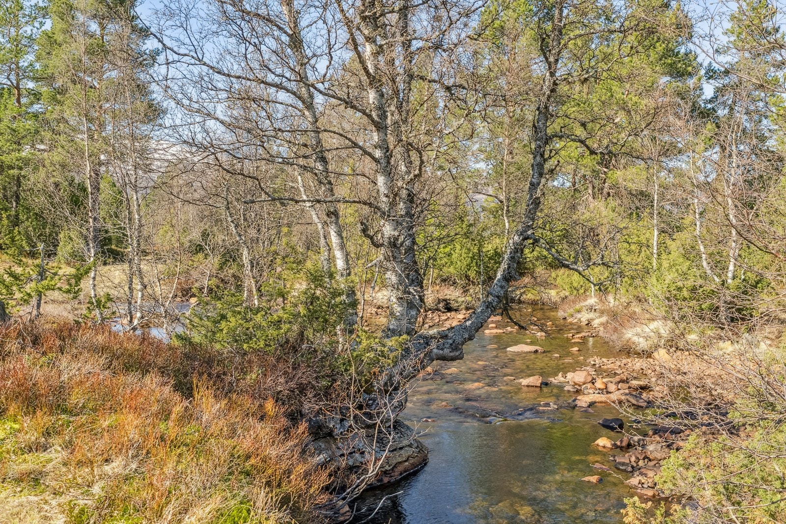 Like ved selet ligg også denne sjarmerande fiskeplassen. Eigedomen har jakt-, fiske- og beiterettar i felles utmark. Galleribilde