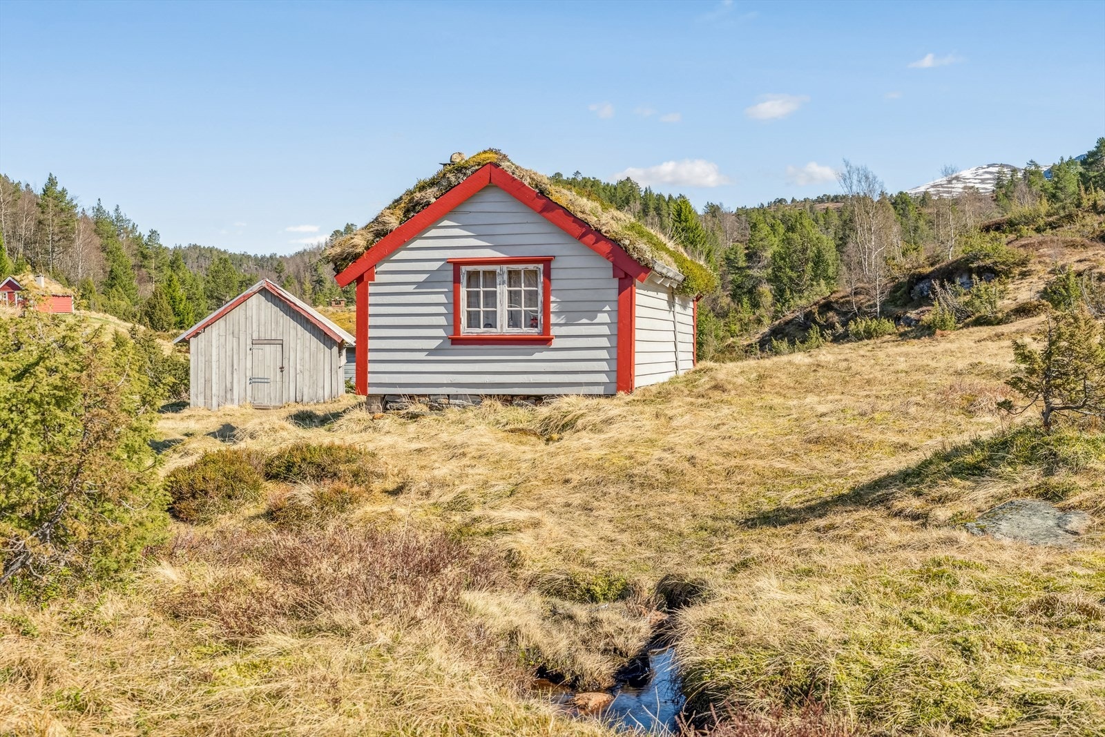 På Dimma, ca. 8 km frå gardstunet, har ein eige sel og sætrefjøs. Galleribilde