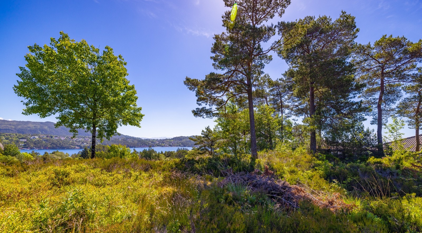 Det er en råtomt i dag, som er avsatt til boligformål i kommuneplan. Galleribilde