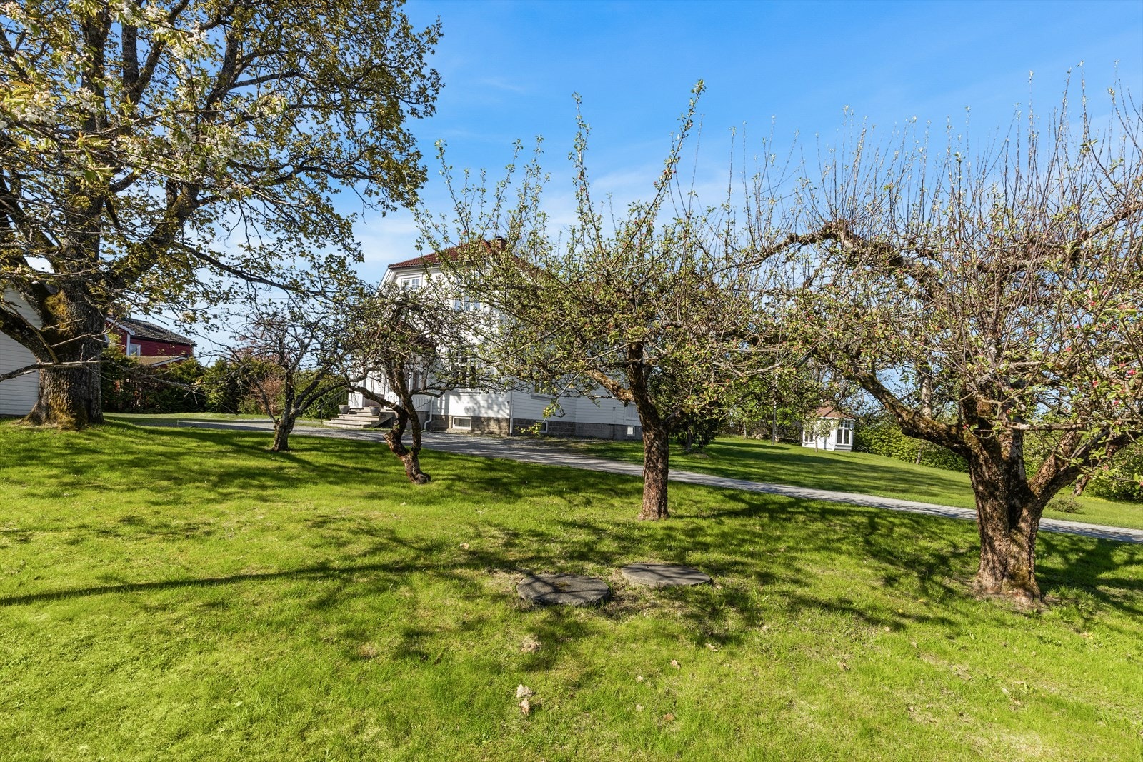 Trær og beplantning på eiendommen som framstår frodig. Galleribilde