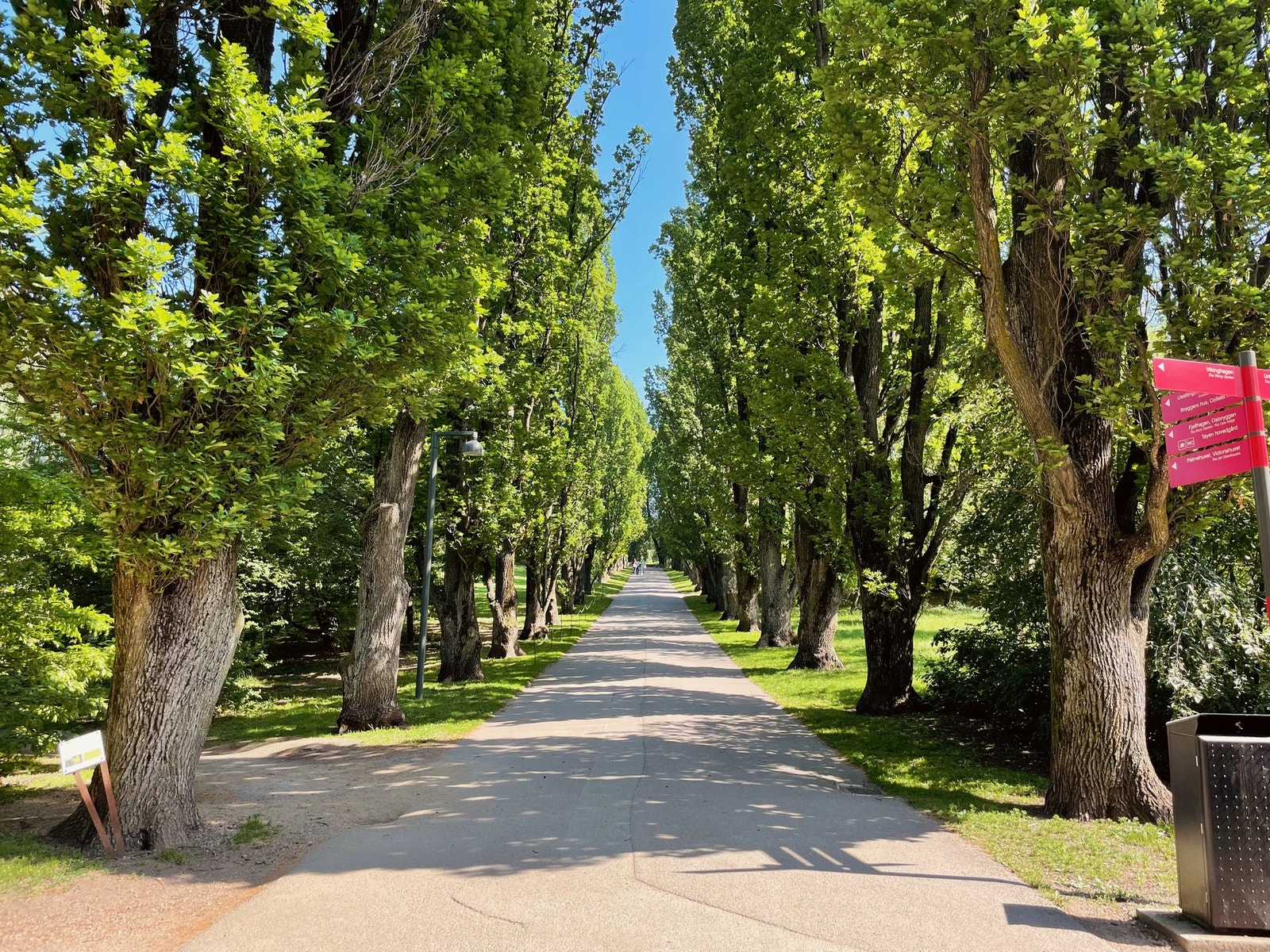 Fra leiligheten er det kort gangavstand til idylliske Botanisk hage. Galleribilde