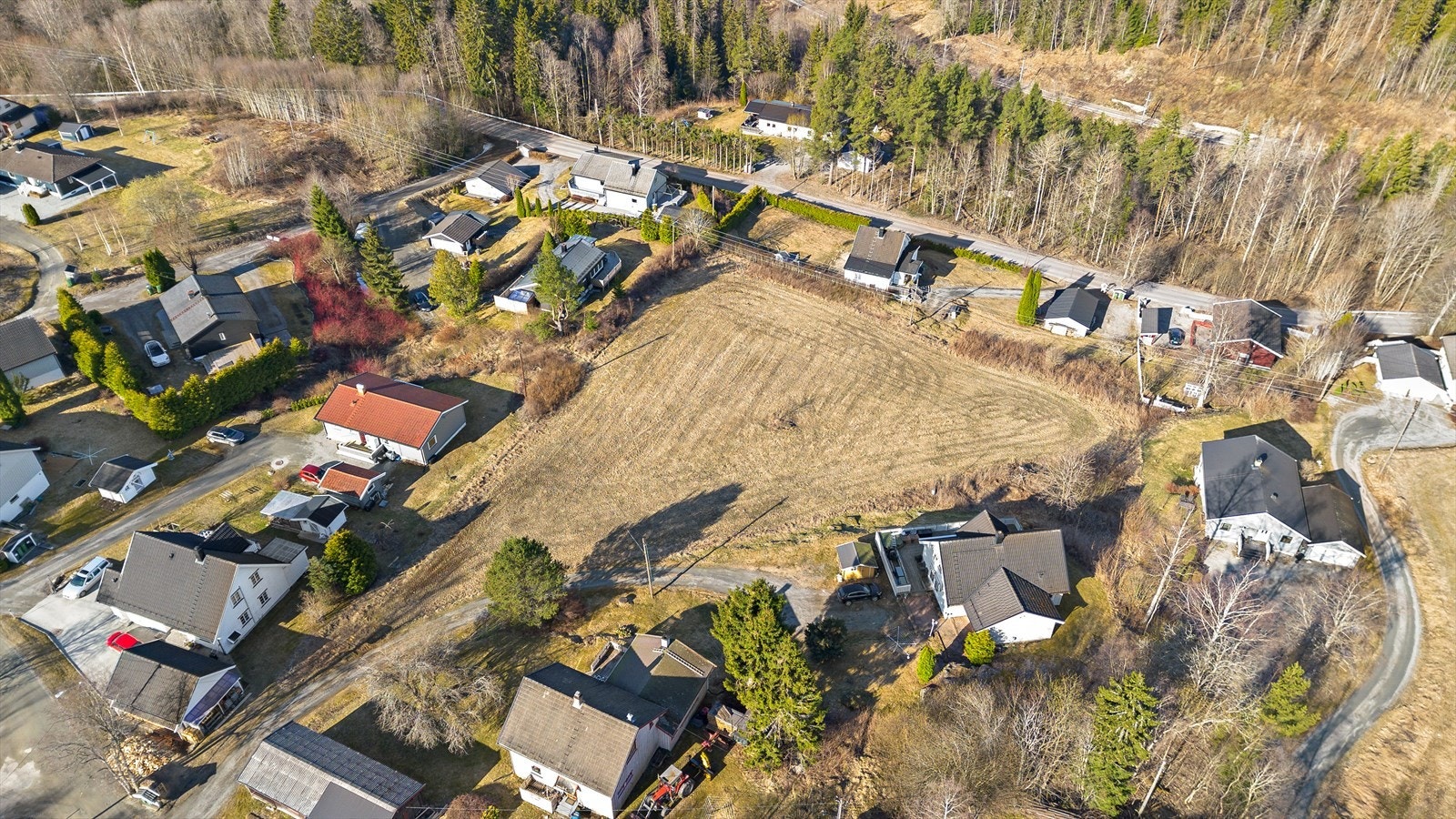 Nærområdet byr på flott natur og rekreasjon. Galleribilde