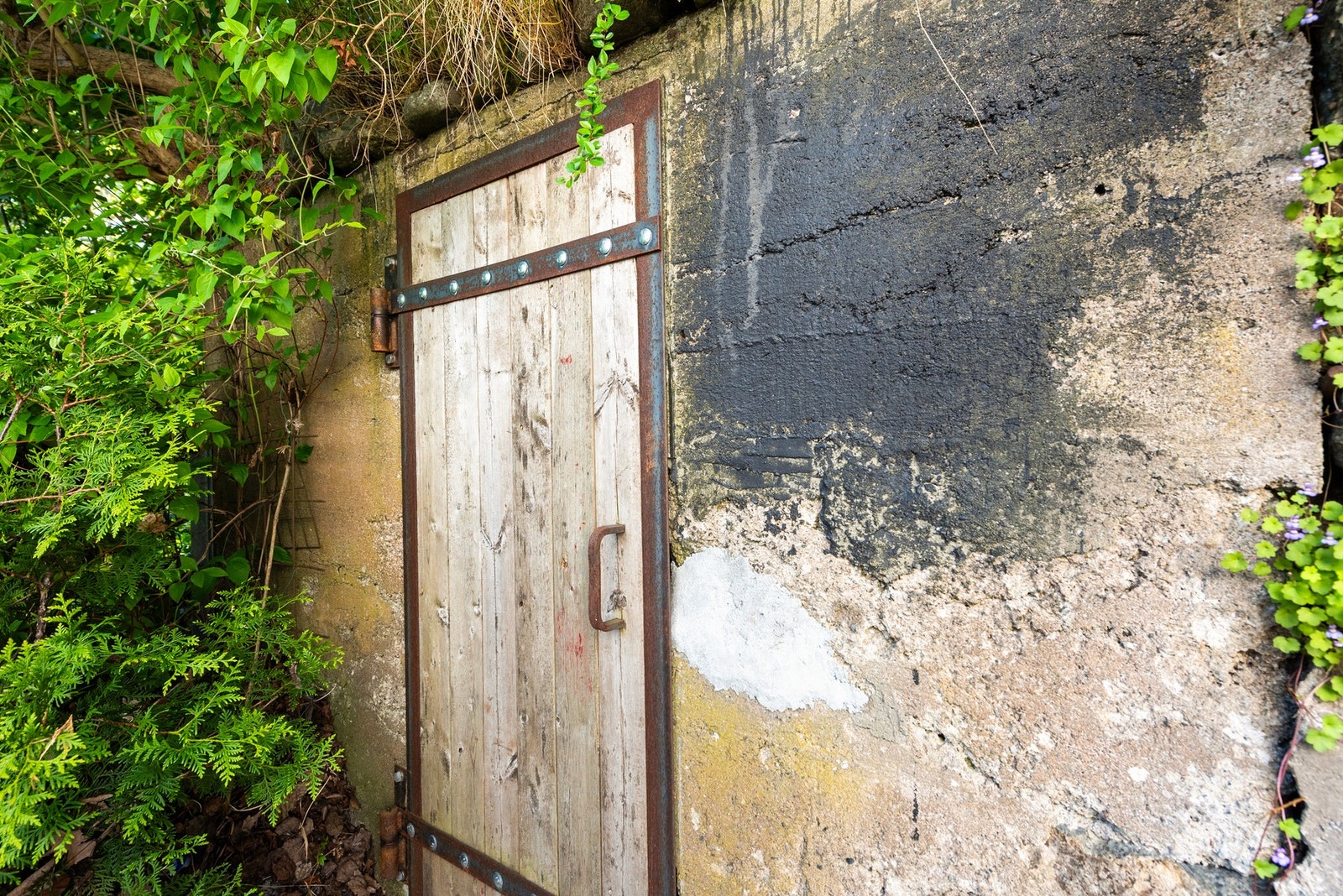 En gammel bunkers i bakhagen, idag brukt til bod Galleribilde