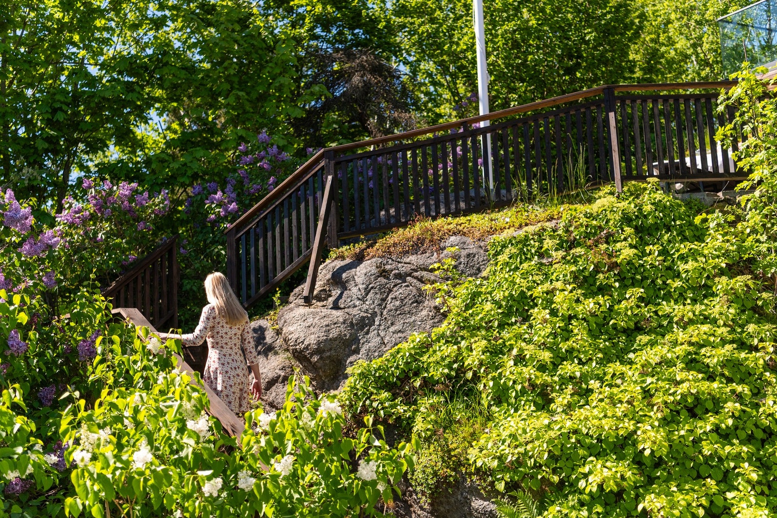 Trapp opp til utsiktsplatået Galleribilde