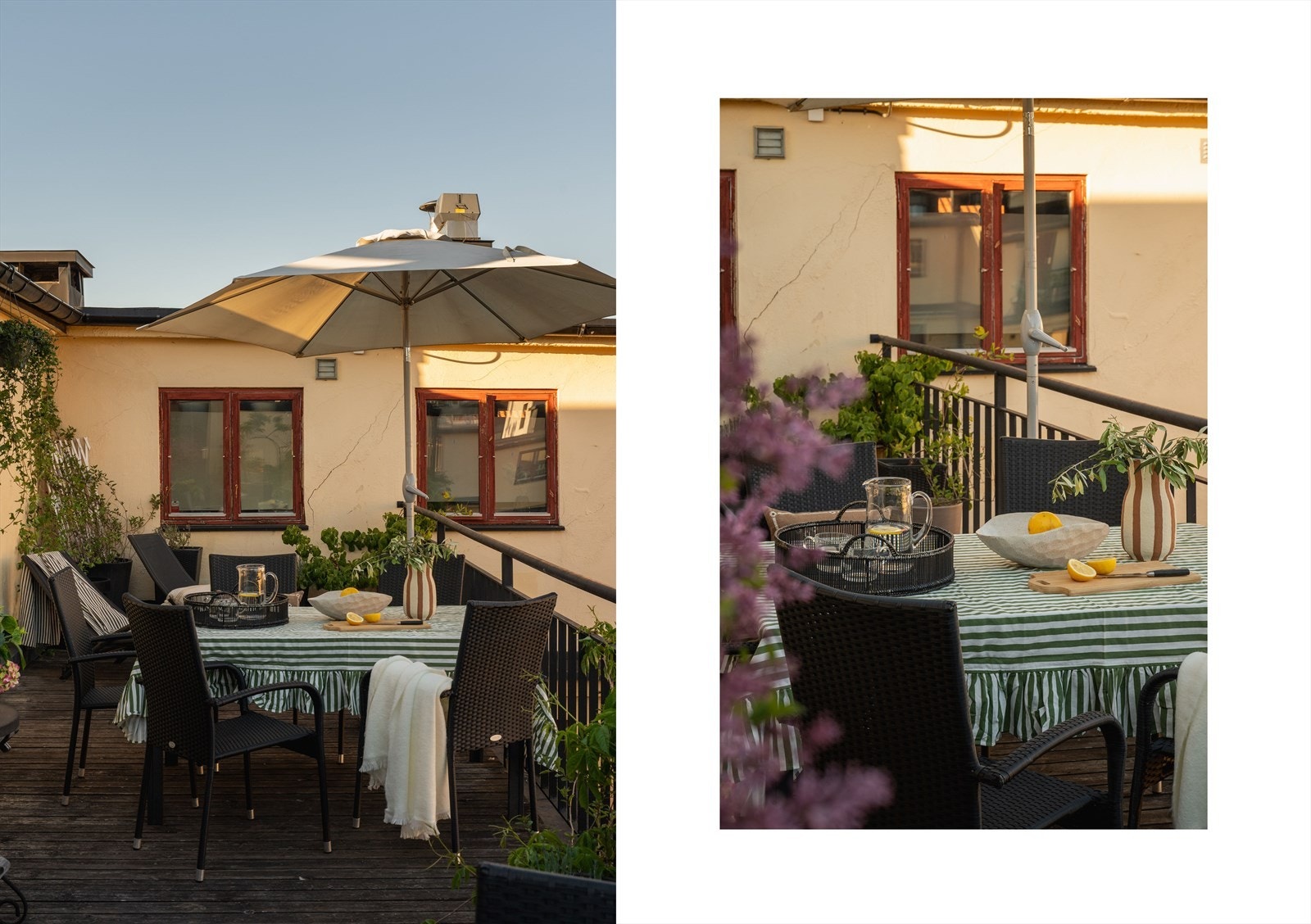 Takterrassene har gode solforhold og har felles hagemøbler Galleribilde