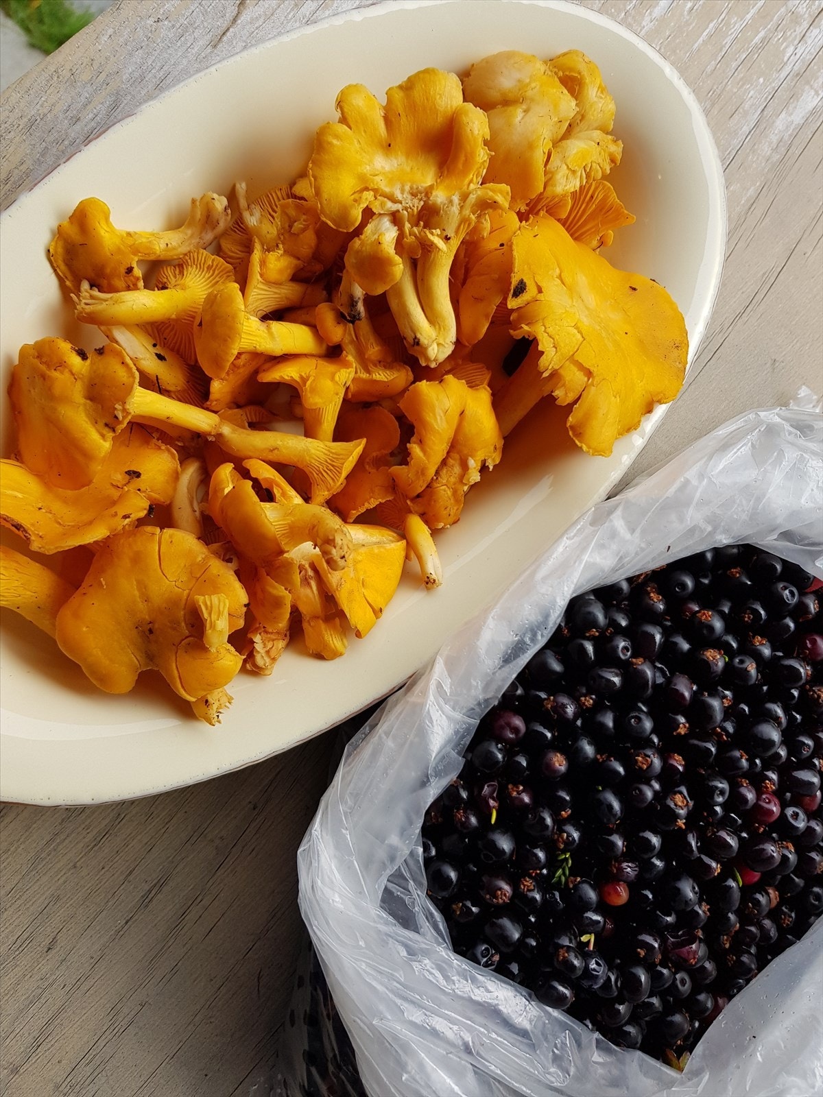 I nærområdet kan ein høste godt av naturen Galleribilde