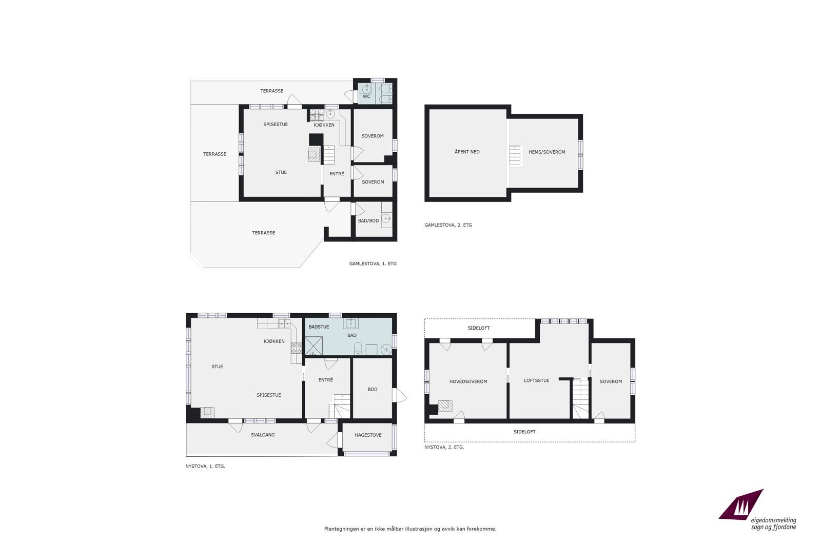 Planteikning Galleribilde