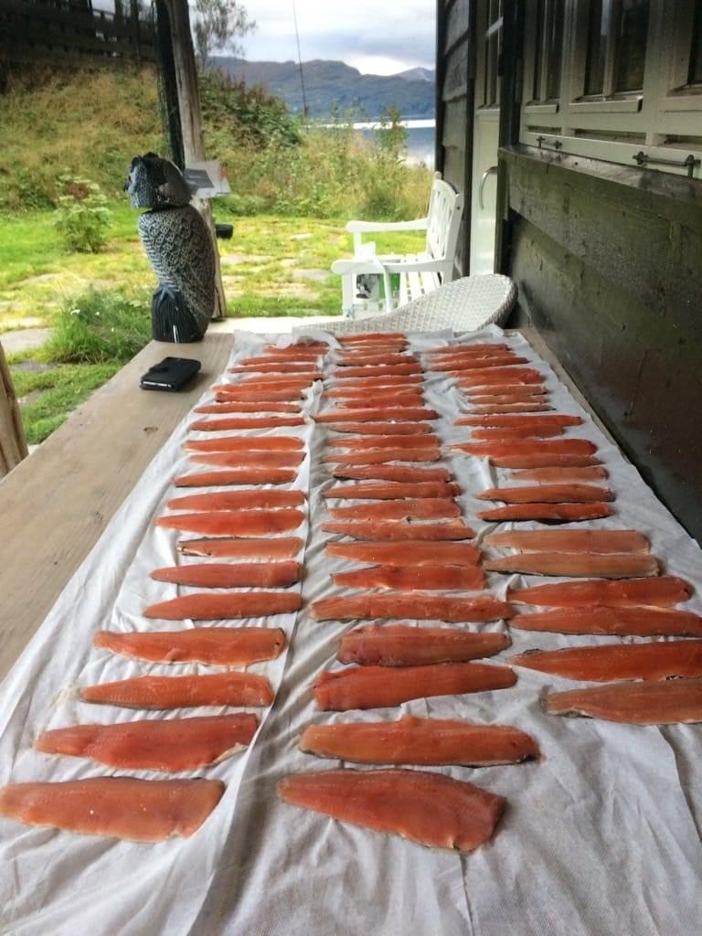 Det er godt fiske i Haukedalsvatnet! Galleribilde