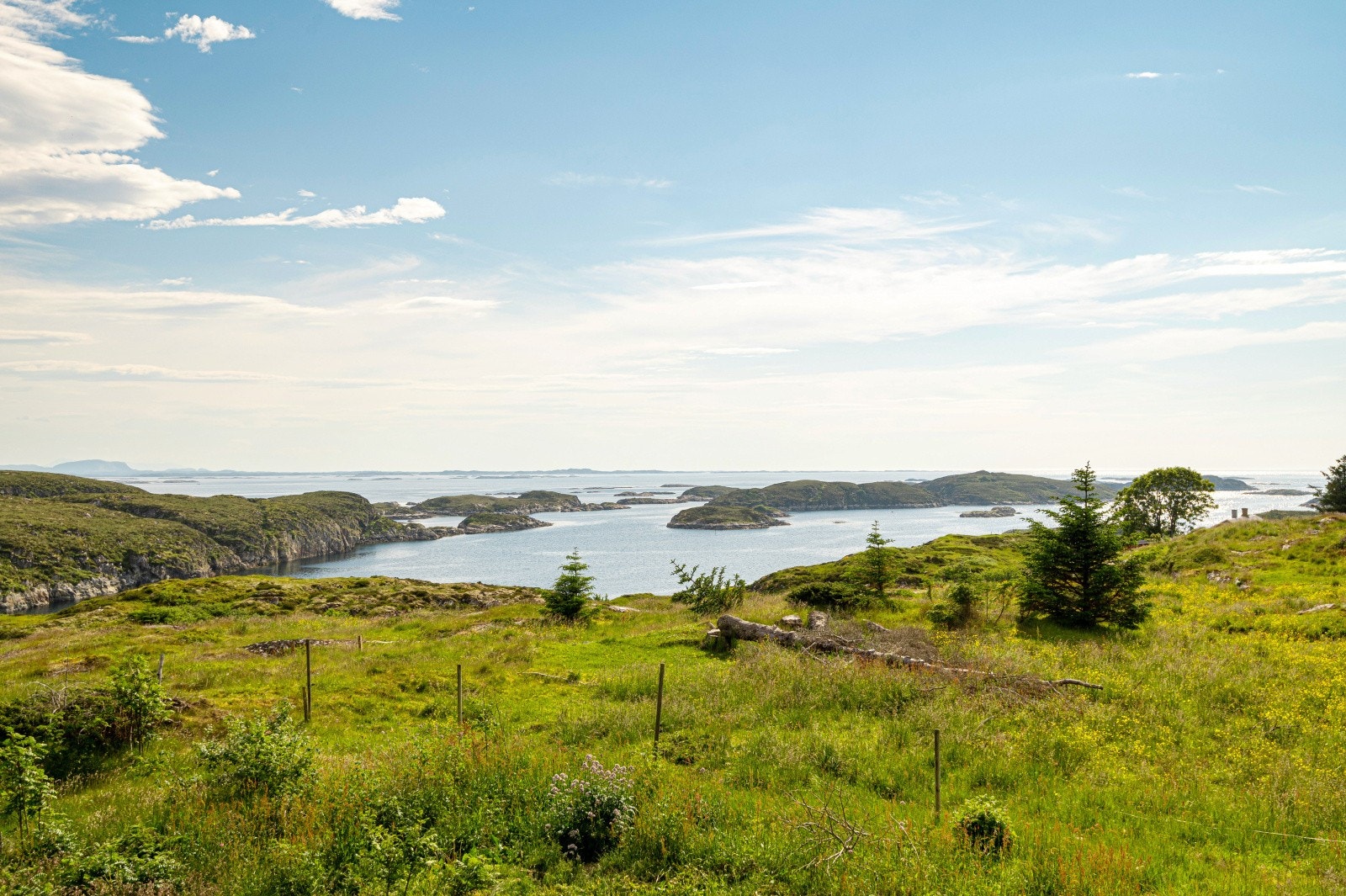 Frøyfjorden ligger kun en kort spasertur ned fra boligen Galleribilde