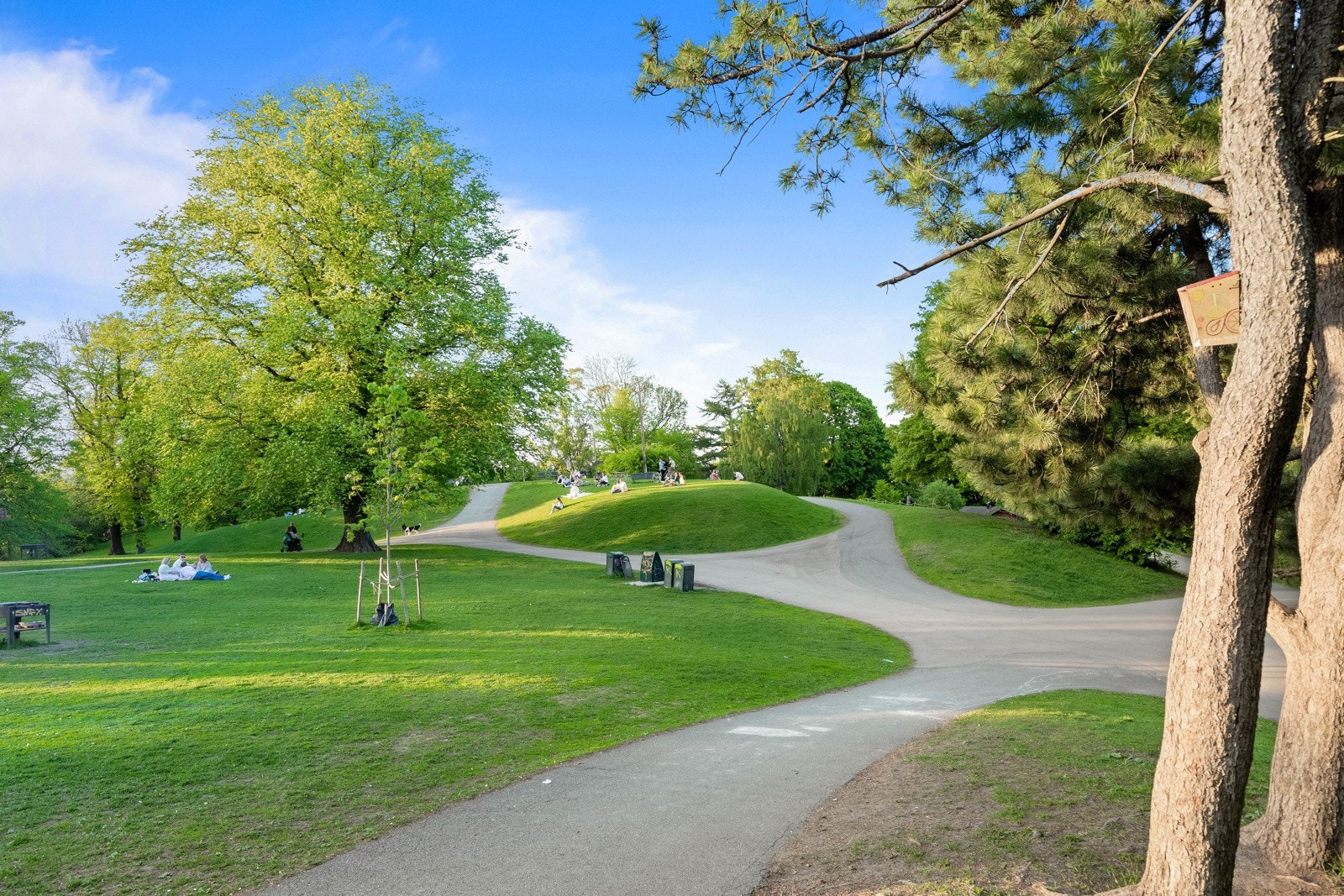Fra leiligheten er det ca. 350 meter til Stensparken med uteservering på sommeren, og kun et kvarters gange til Frognerparken og St.Hanshaugen. Galleribilde