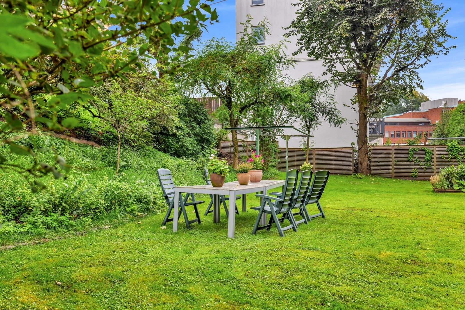 Nydelig og frodig felles hage med sittegrupper, stor plen og beplantning med trær og bed. Galleribilde