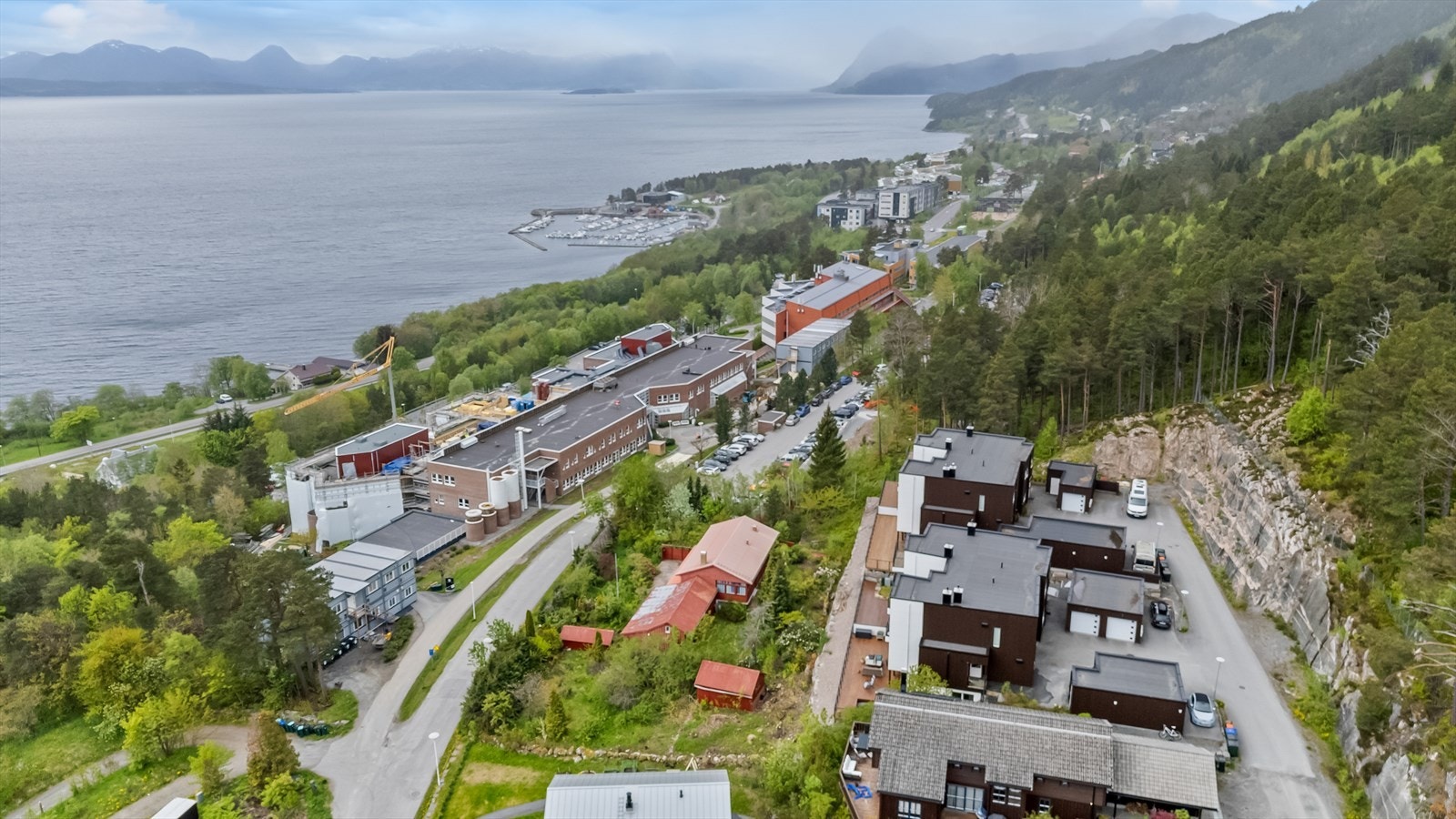 Nærområde Galleribilde