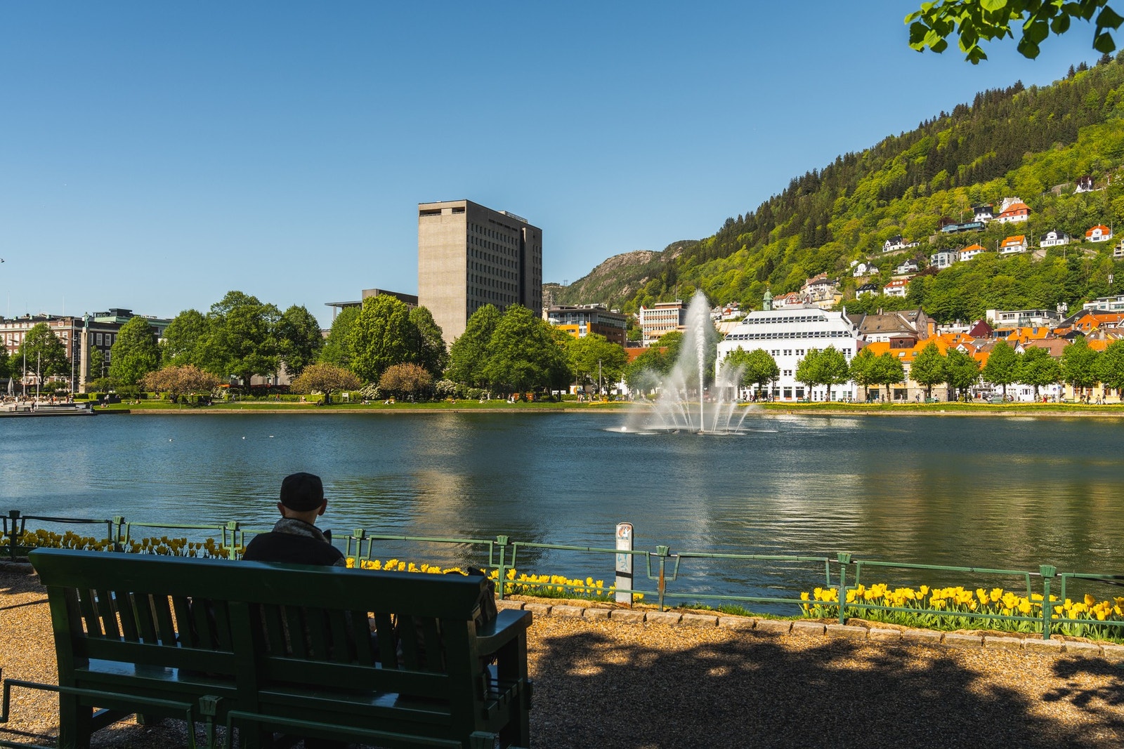 Bybanen får deg kjapt til nye Høyskolen i Bergen, og buss tar deg til NHH i Ytre Sandviken. Galleribilde