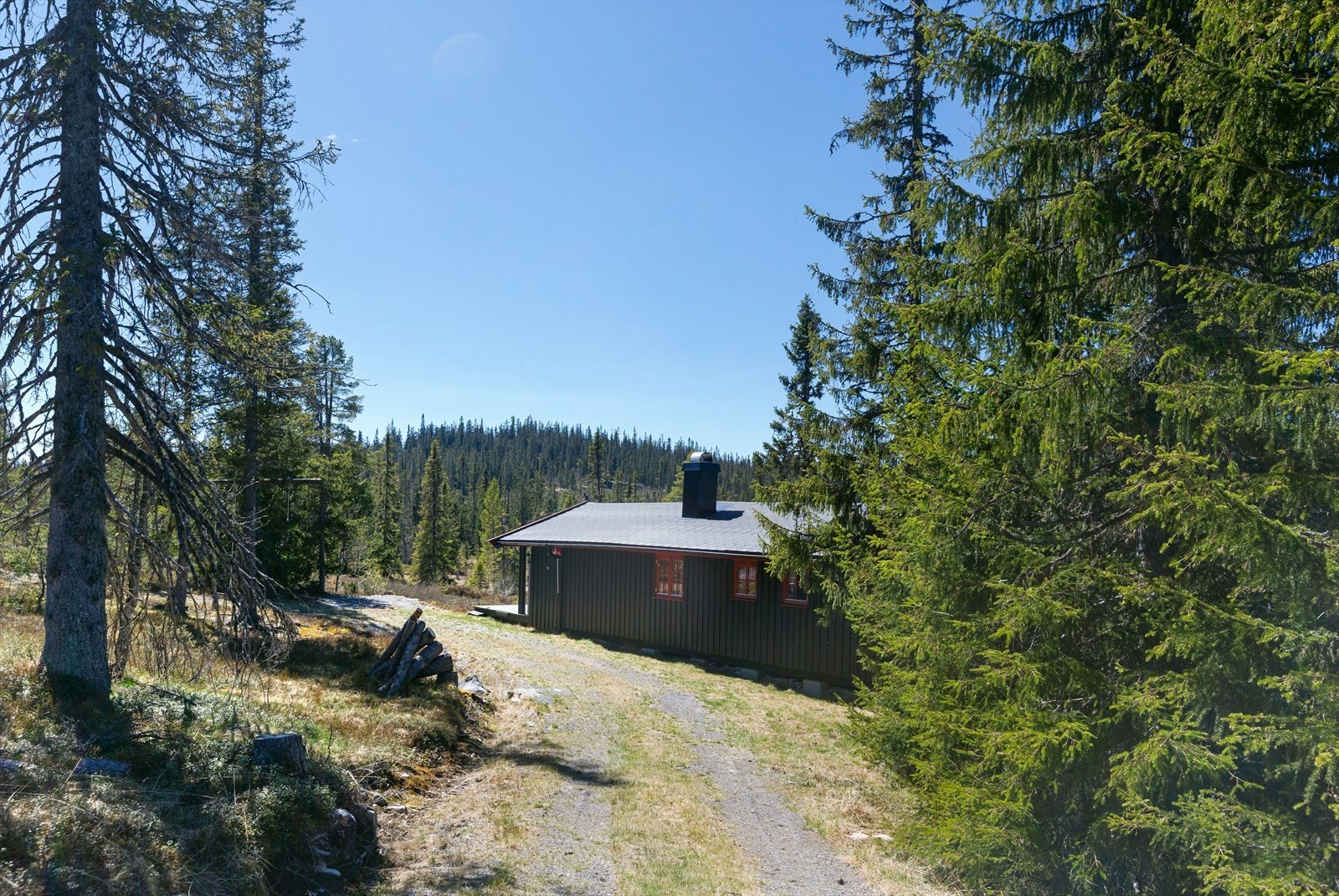 Eiendommen har en trivelig naturtomt i utkanten av et mindre hyttefelt på Hovda, ca. 905 moh. Galleribilde