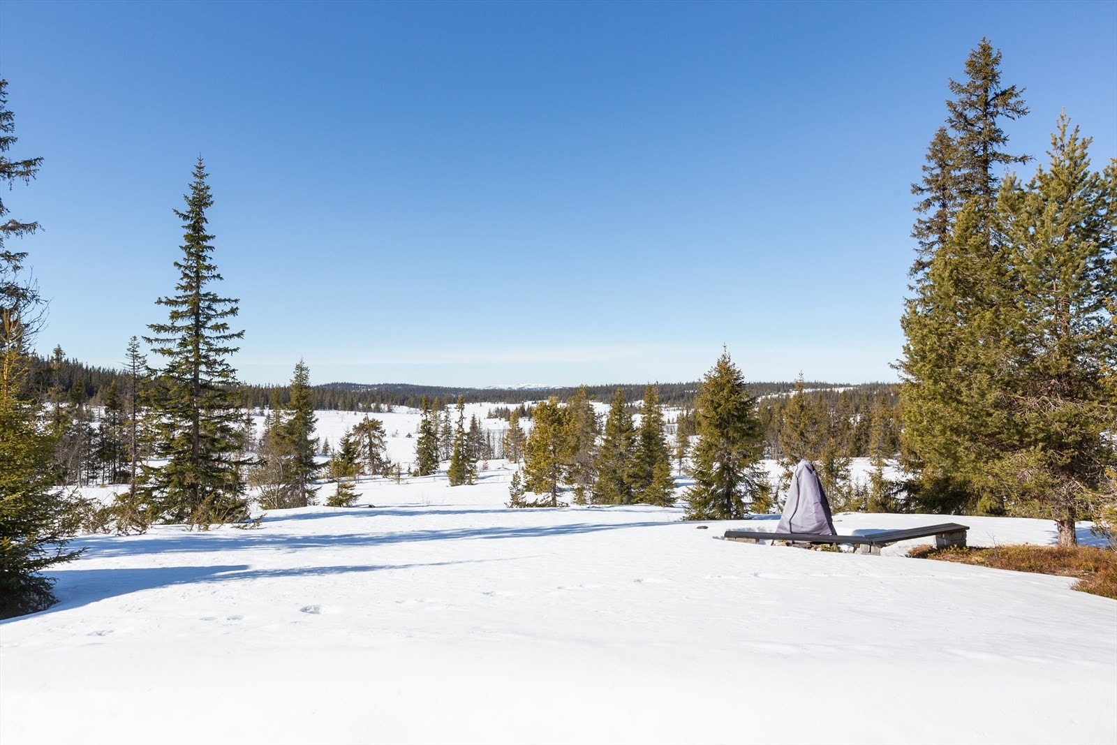 Med oppkjørt skiløype ca. 30 m fra tomtegrensa, er det bare å spenne på seg skiene og gå rett ut i fin og variert natur. Galleribilde