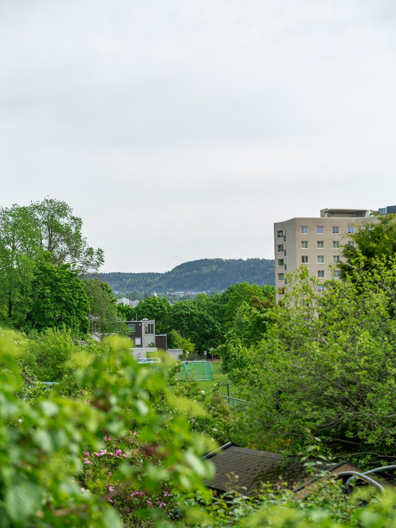 Utsikten herfra er fri og fin. Galleribilde