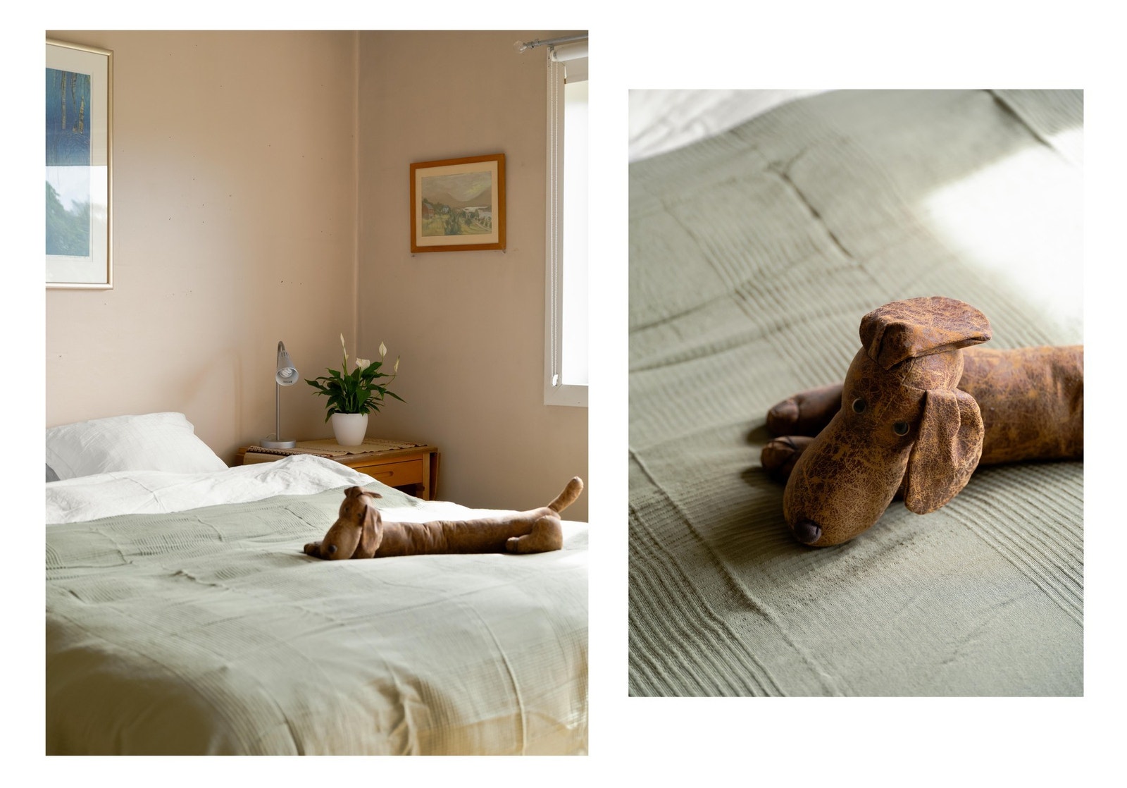 Sees vi? Galleribilde