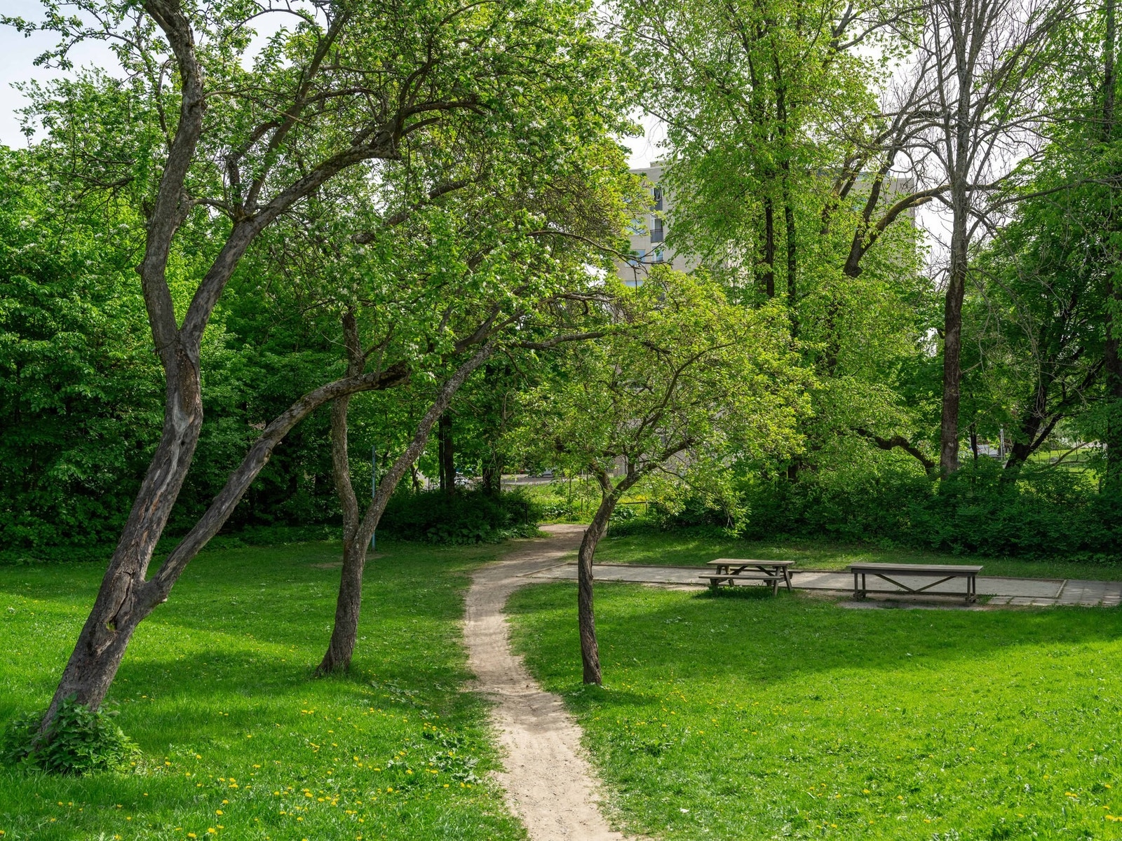 Friområdene i enden av veien. Galleribilde