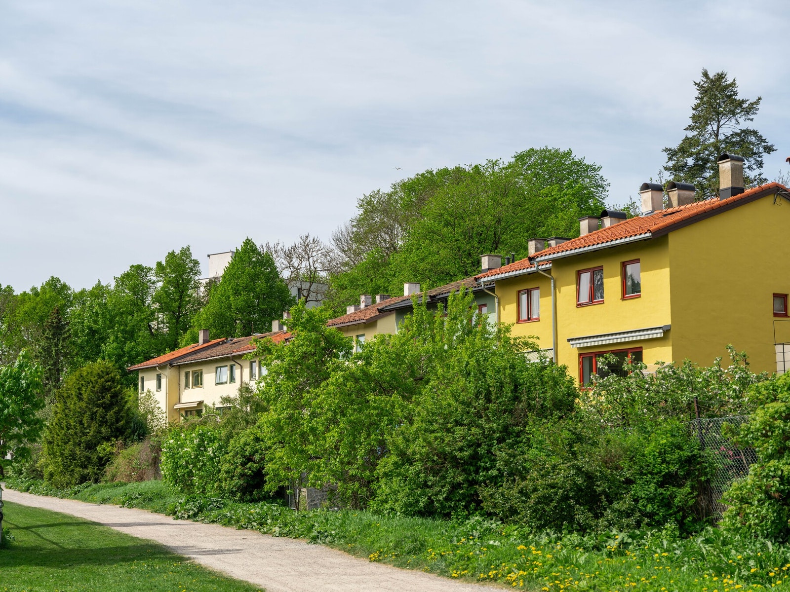 Her er vi på andre siden av huset, på de store gressområdene utenfor. Galleribilde