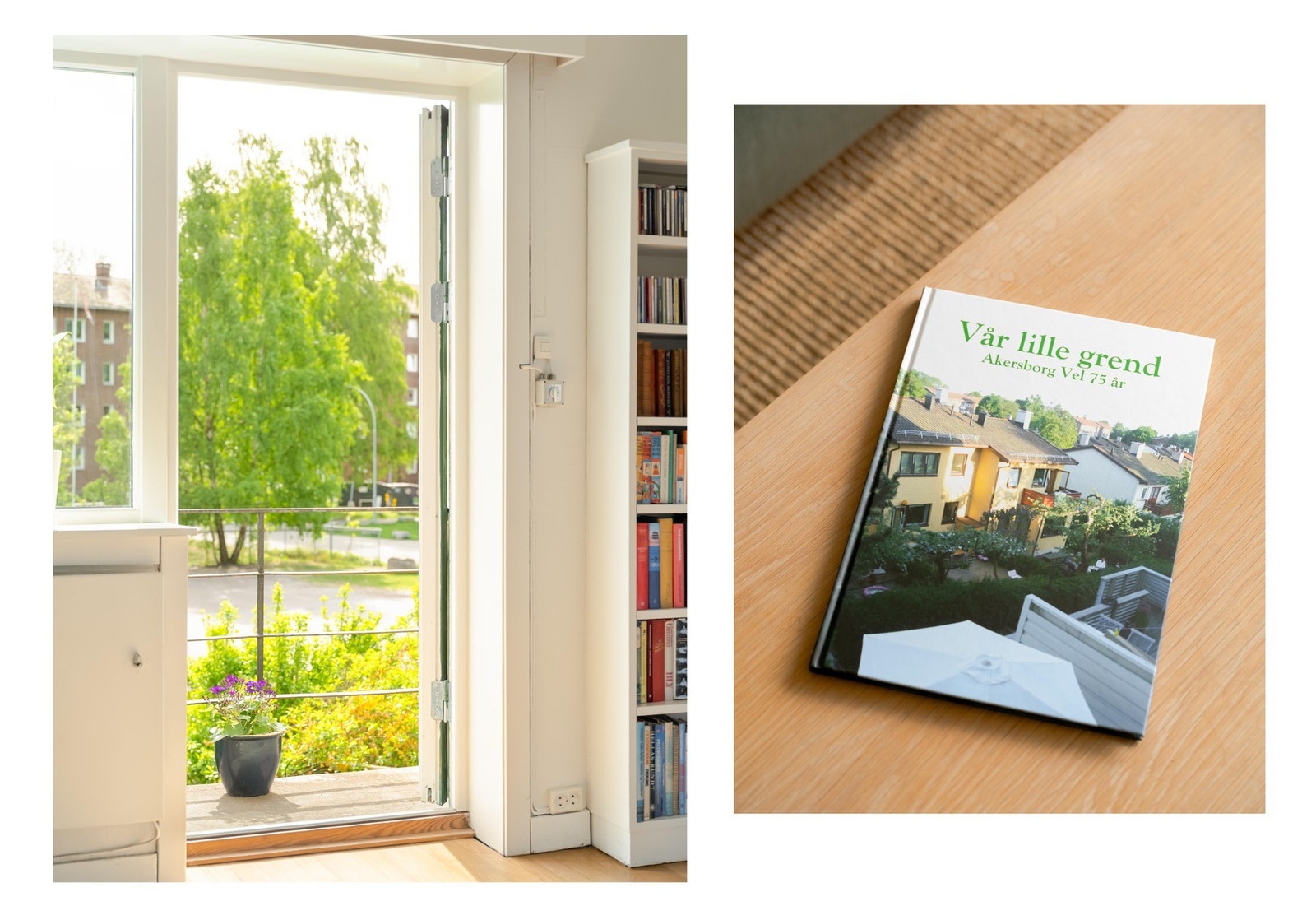 Akersborg Terrasse har en rik historie, og som beskrevet i boken om Akersborg Vel. Galleribilde