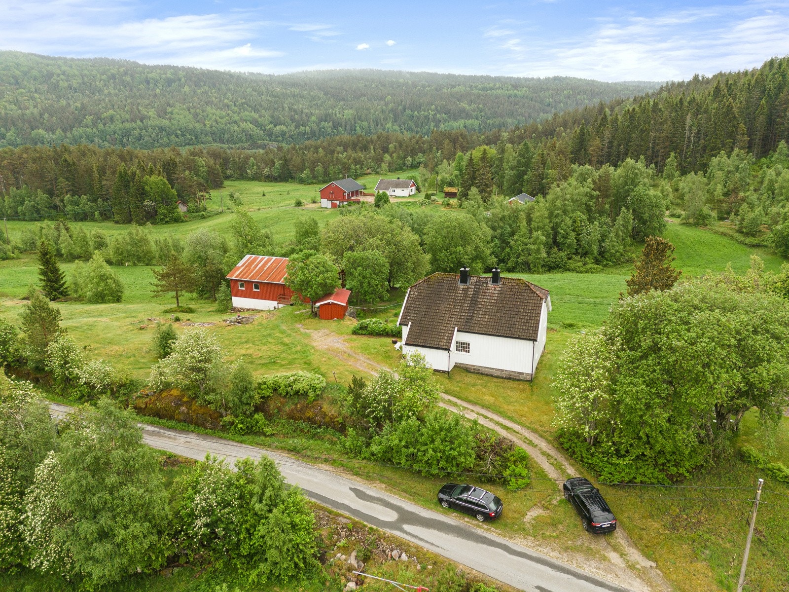 Luftig og fritt på gården Galleribilde