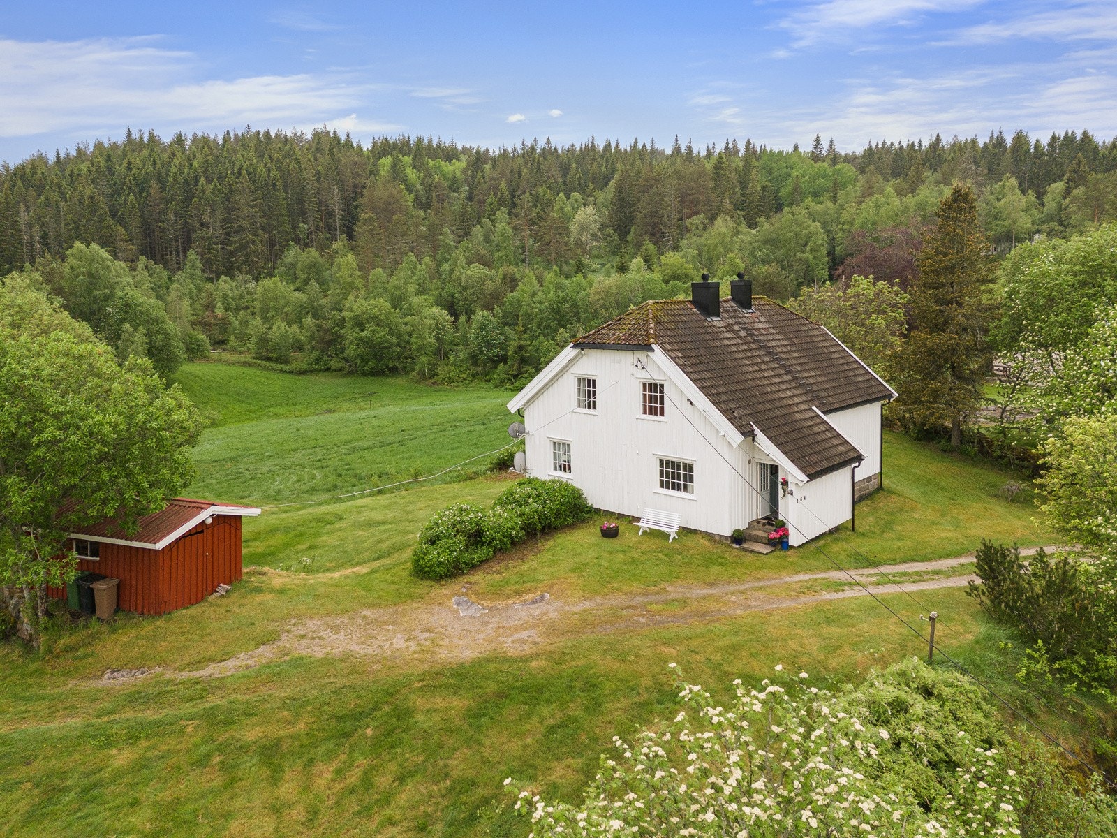 Gode solforhold Galleribilde