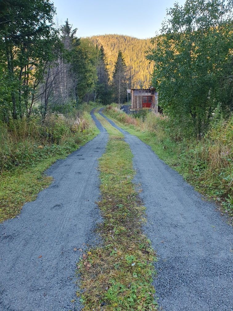Veien er nylig gruset opp igjen. Galleribilde