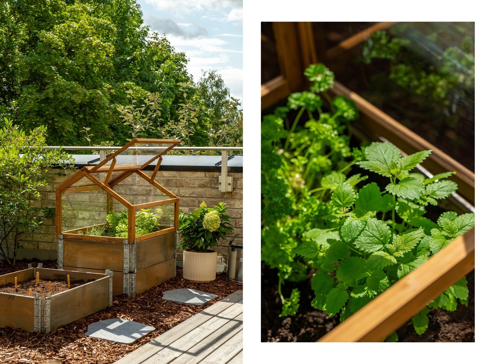 Plantekasser og drivhus - og så minner vi om at vi er midt i Oslo. Galleribilde