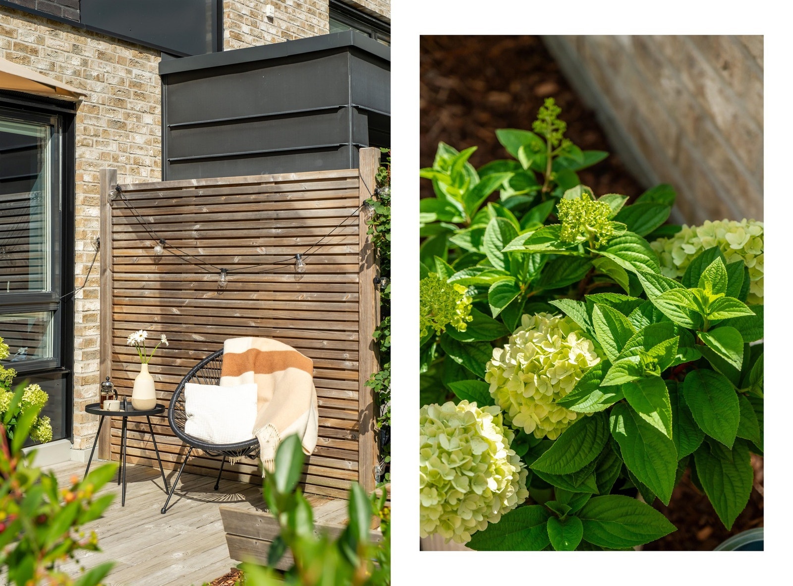 Sees vi? Galleribilde