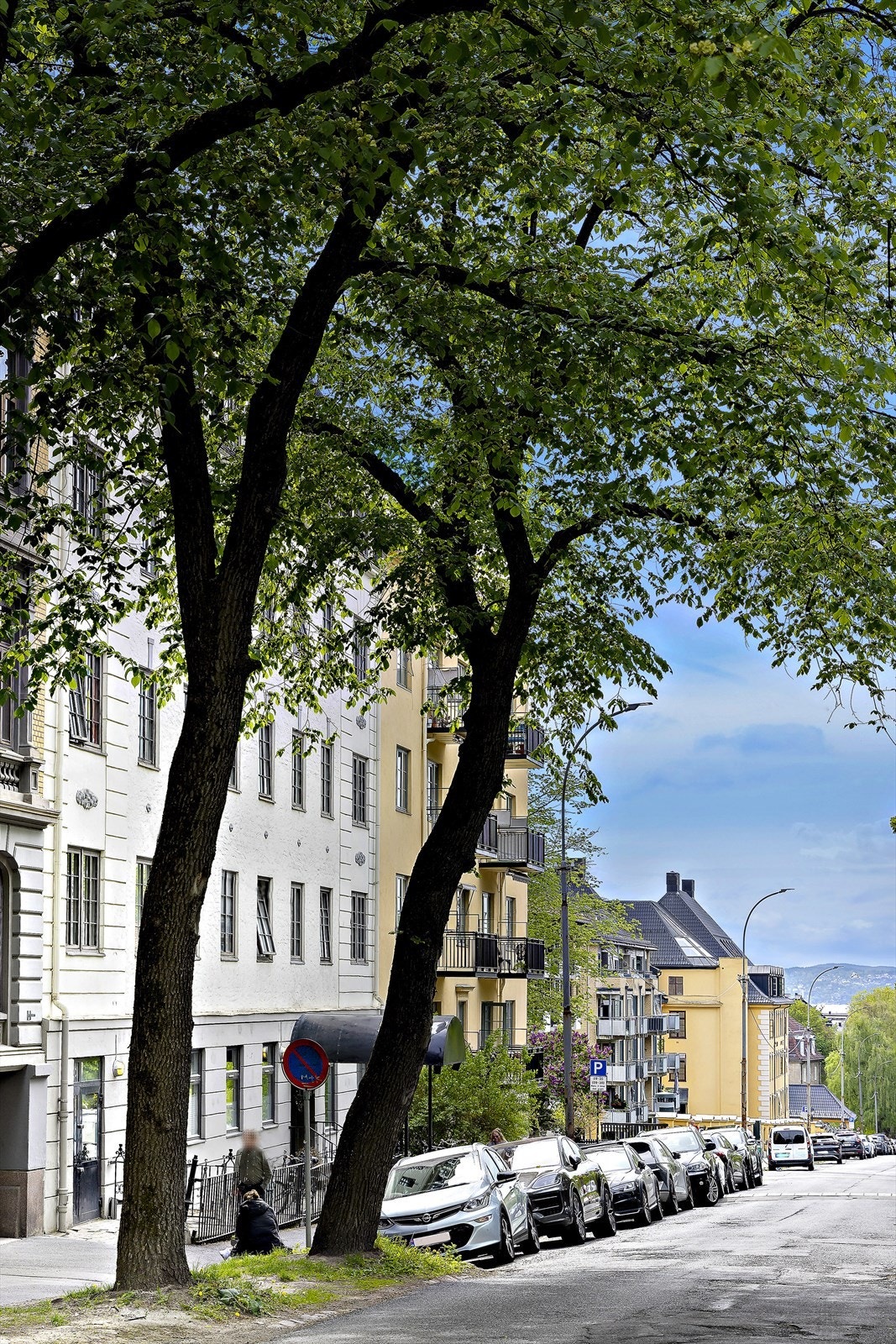 Nabolaget byr på et unikt mangfold av tilbud: Ta morgenkaffen på WB Samson kafé, nyt en helaften på Feinschmecker eller Vineria Ventidue, eller rusle langs Bygdøy Allé til Frognerparken for joggetur. Galleribilde