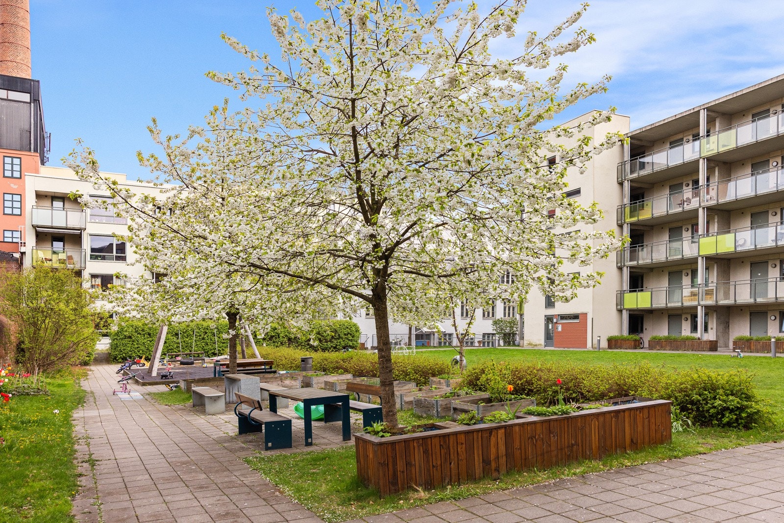 - Flott, felles hage med plen, planter, busker og trær - Galleribilde