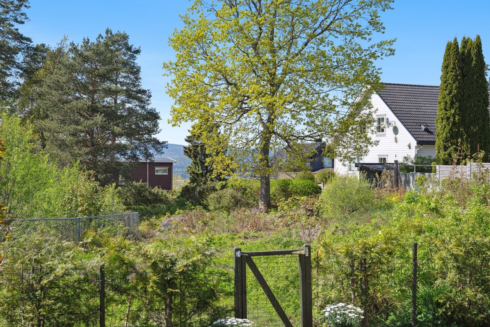 Port med utgang til friområdet. Galleribilde